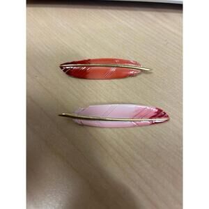 Painted Feather Pin Set